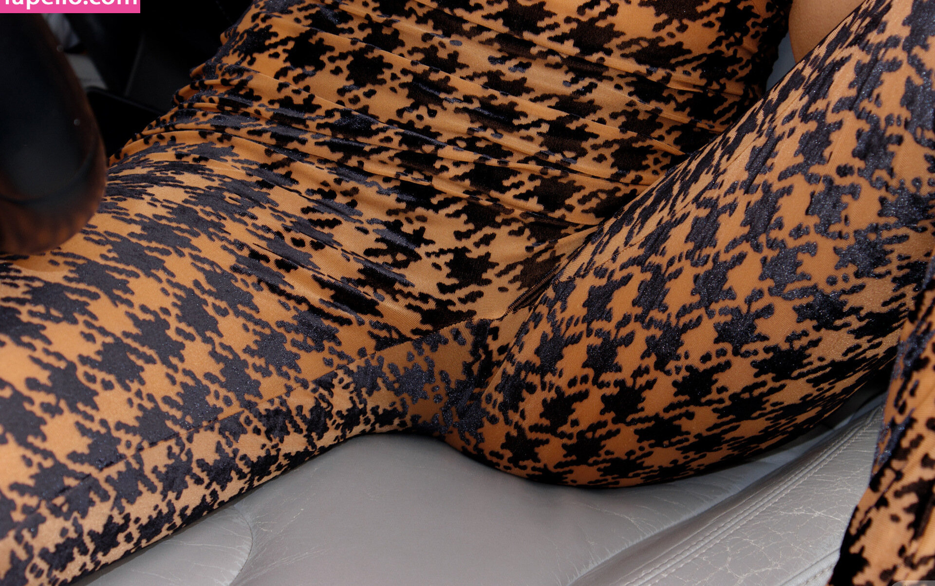 zishy gallery photo #2231