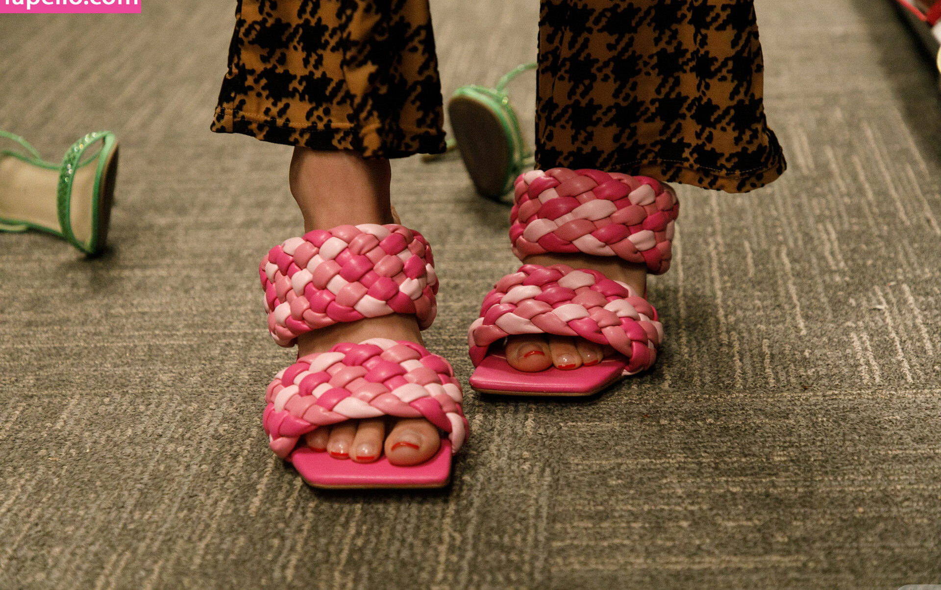 zishy gallery photo #2256