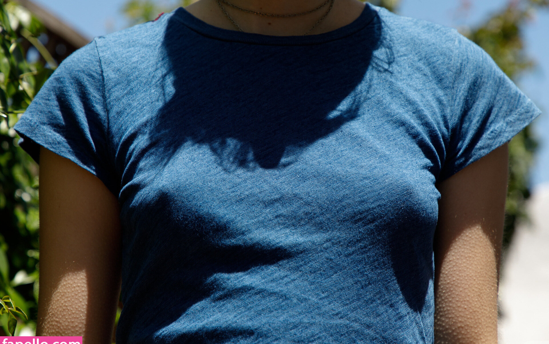 zishy gallery photo #2862