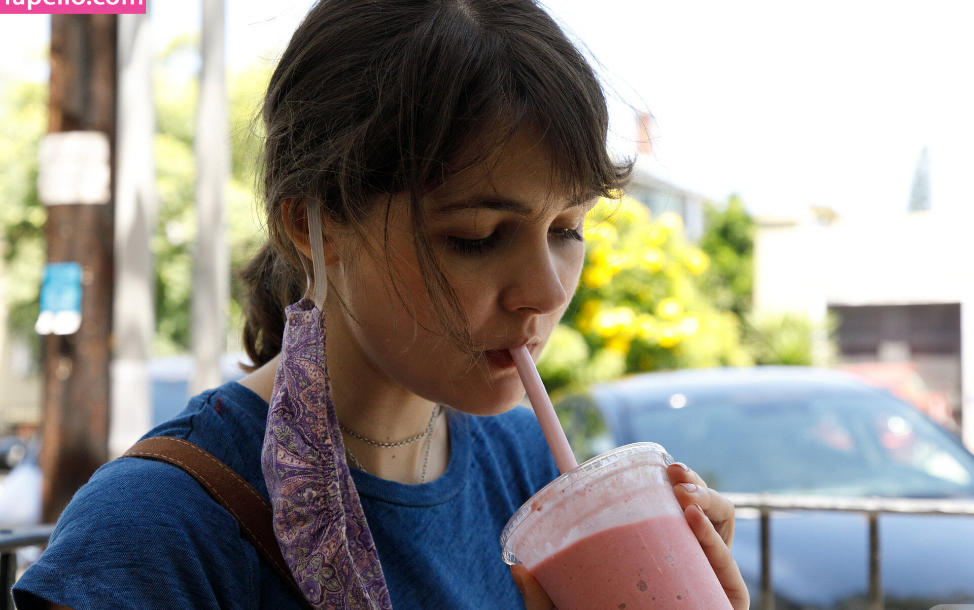 zishy gallery photo #2874