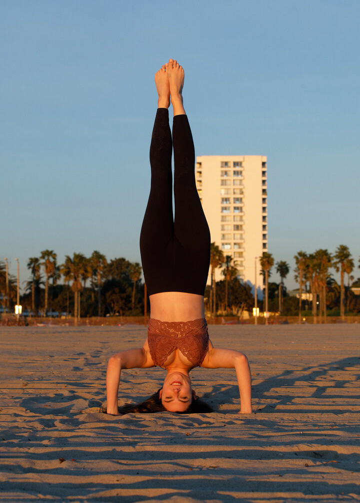 zishy gallery photo #3095