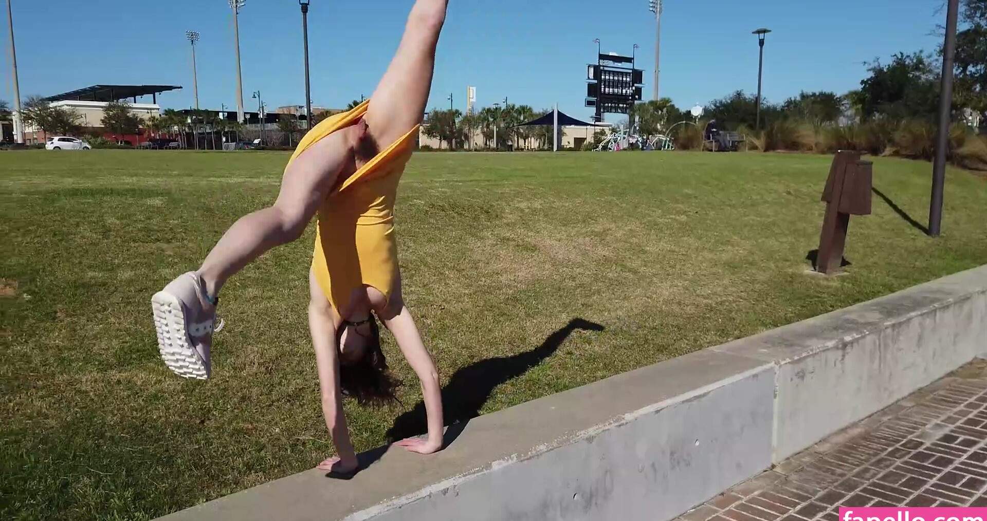 zishy gallery photo #3900