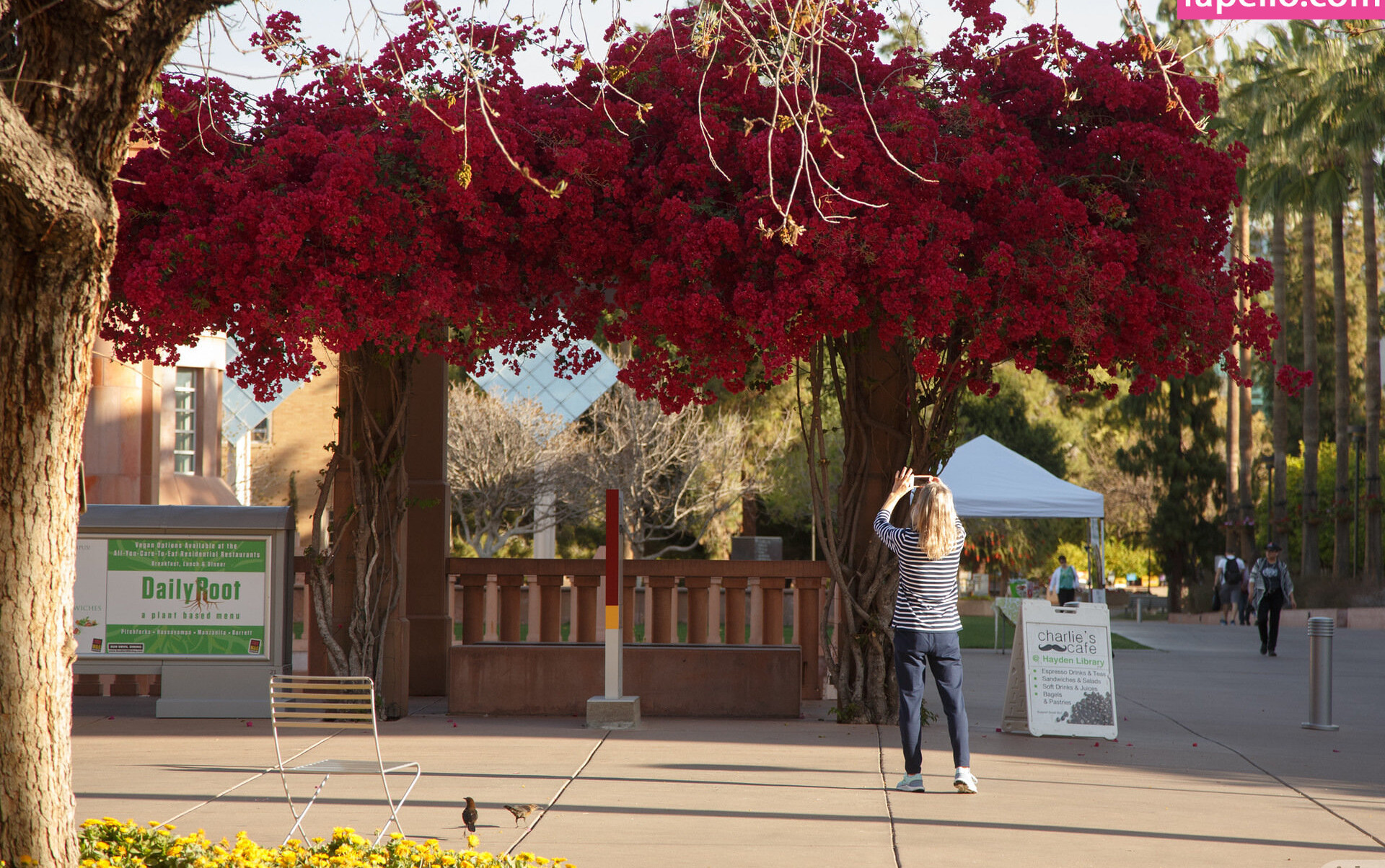 zishy gallery photo #4264