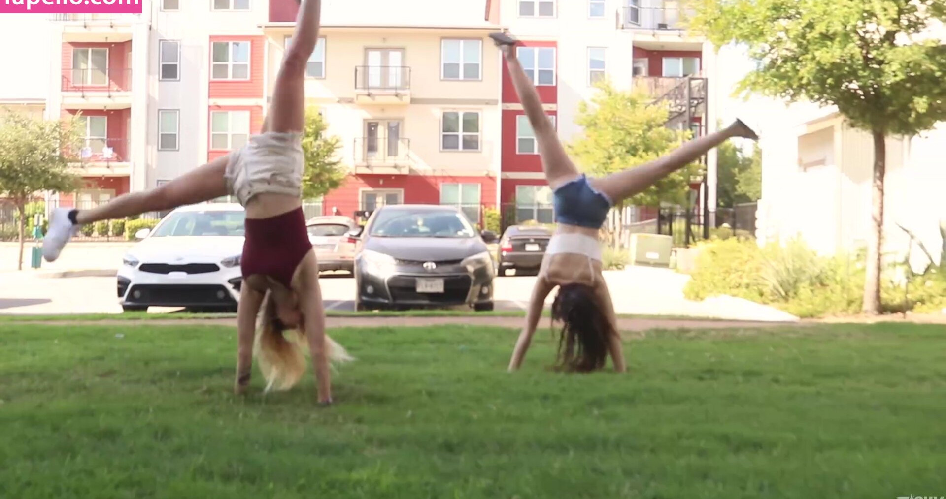 zishy gallery photo #4462