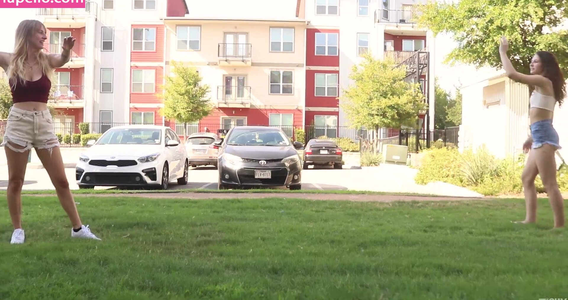 zishy gallery photo #4463