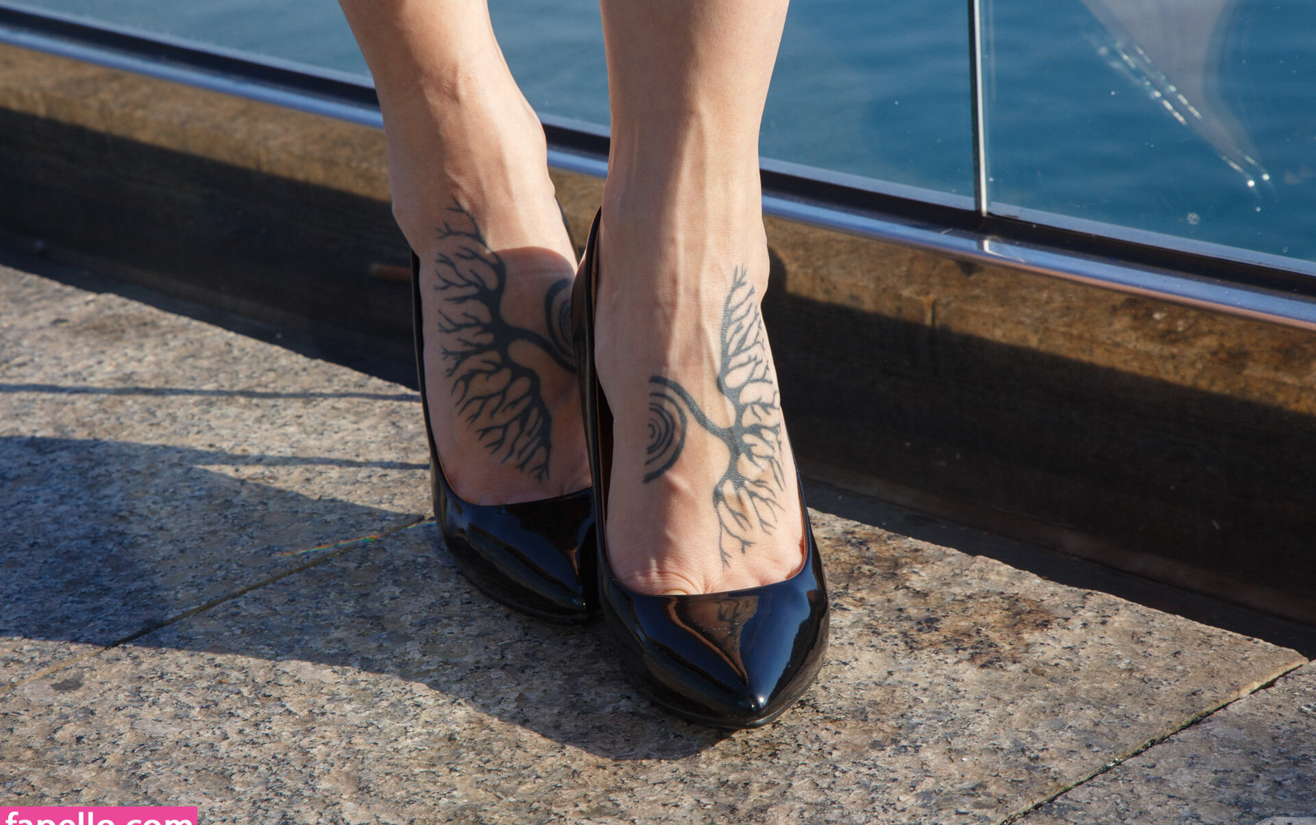 zishy gallery photo #5023