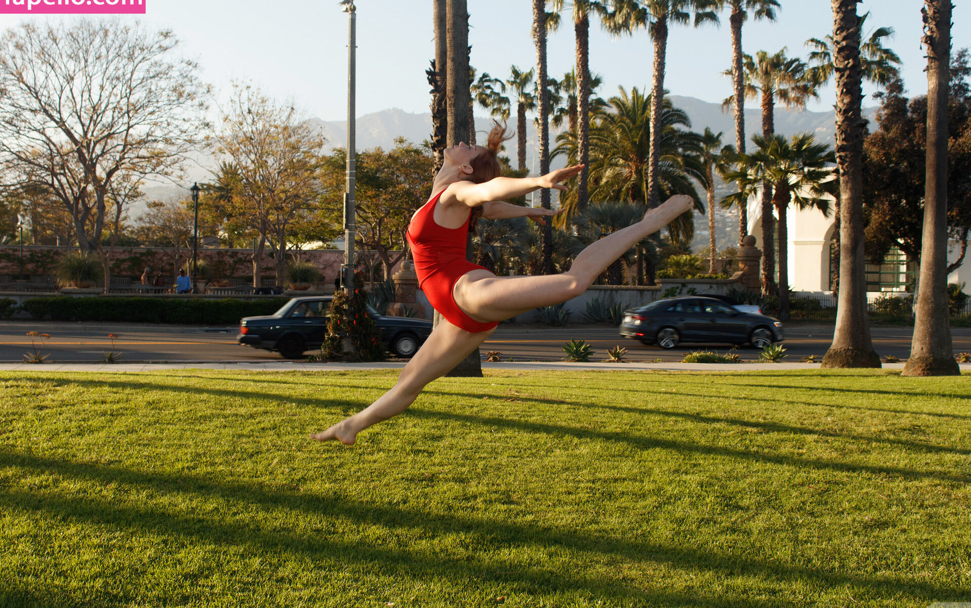 zishy gallery photo #5829