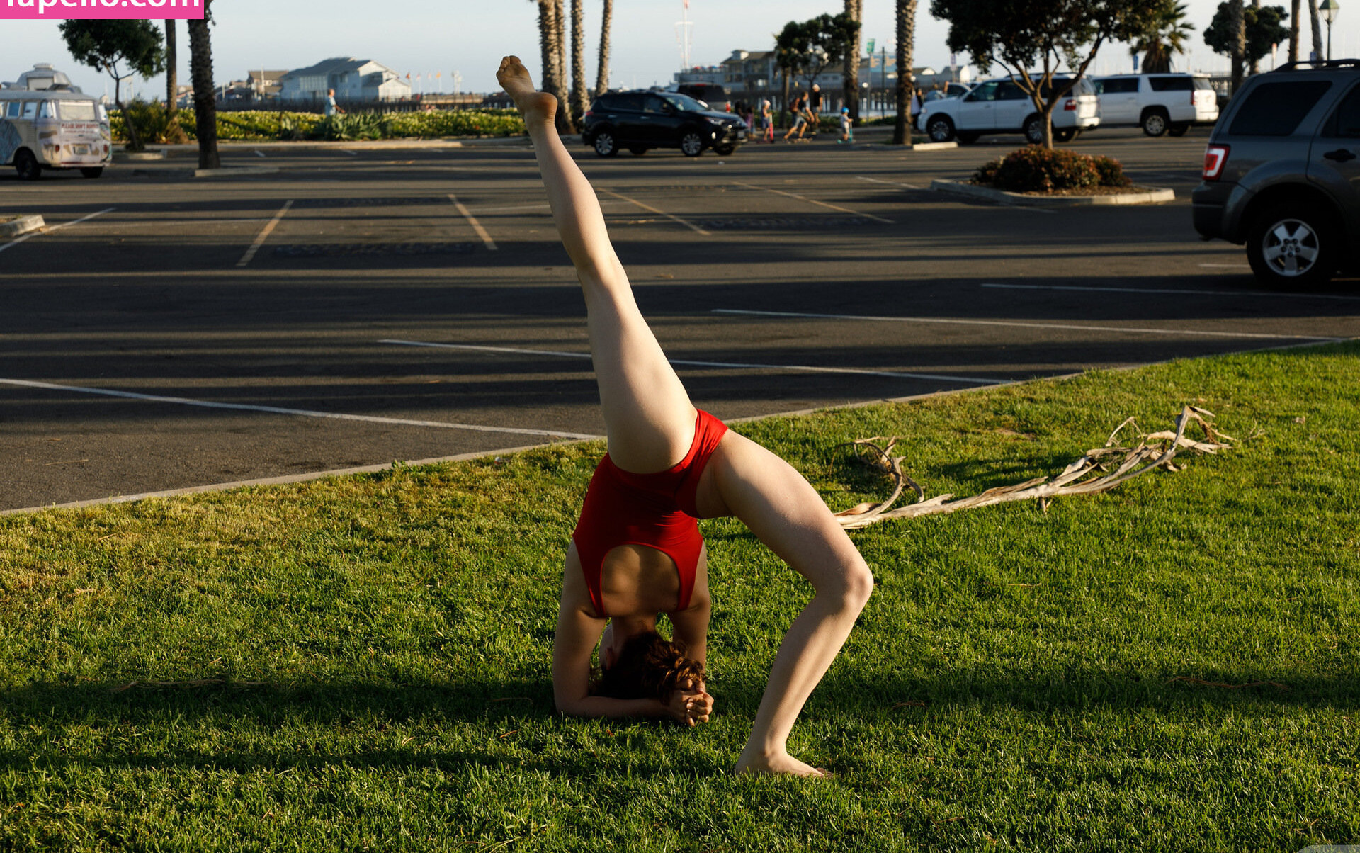 zishy gallery photo #5836