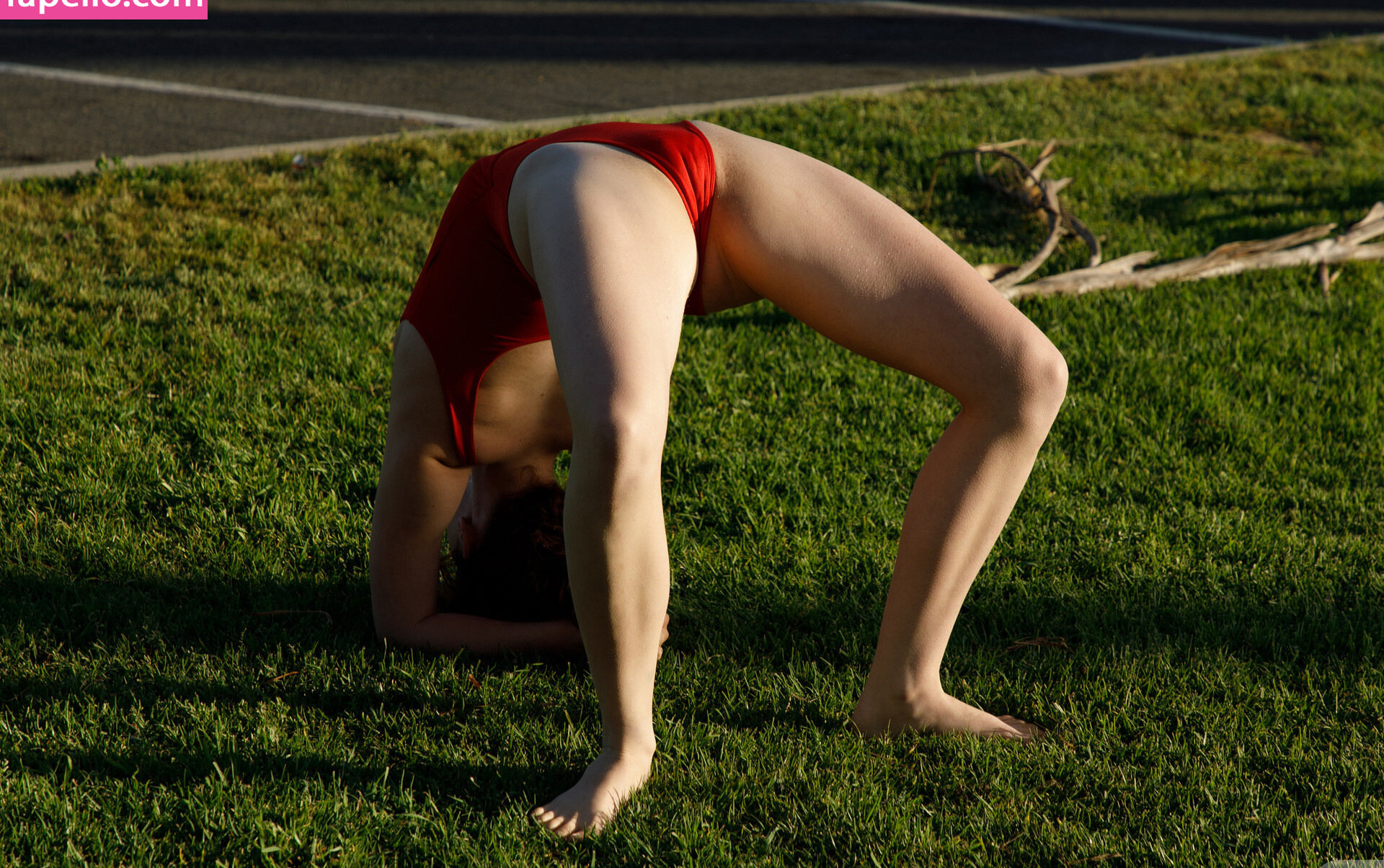 zishy gallery photo #5841