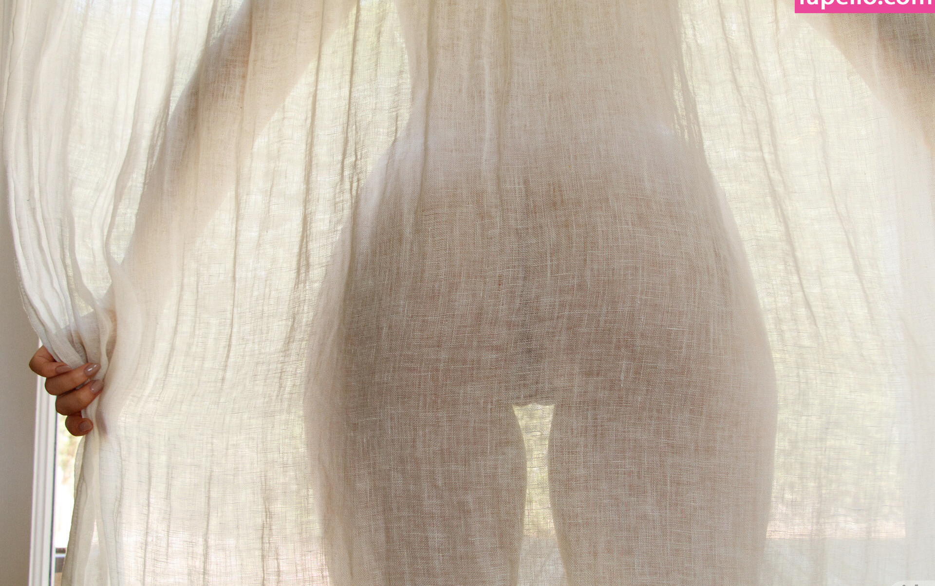 zishy gallery photo #5907