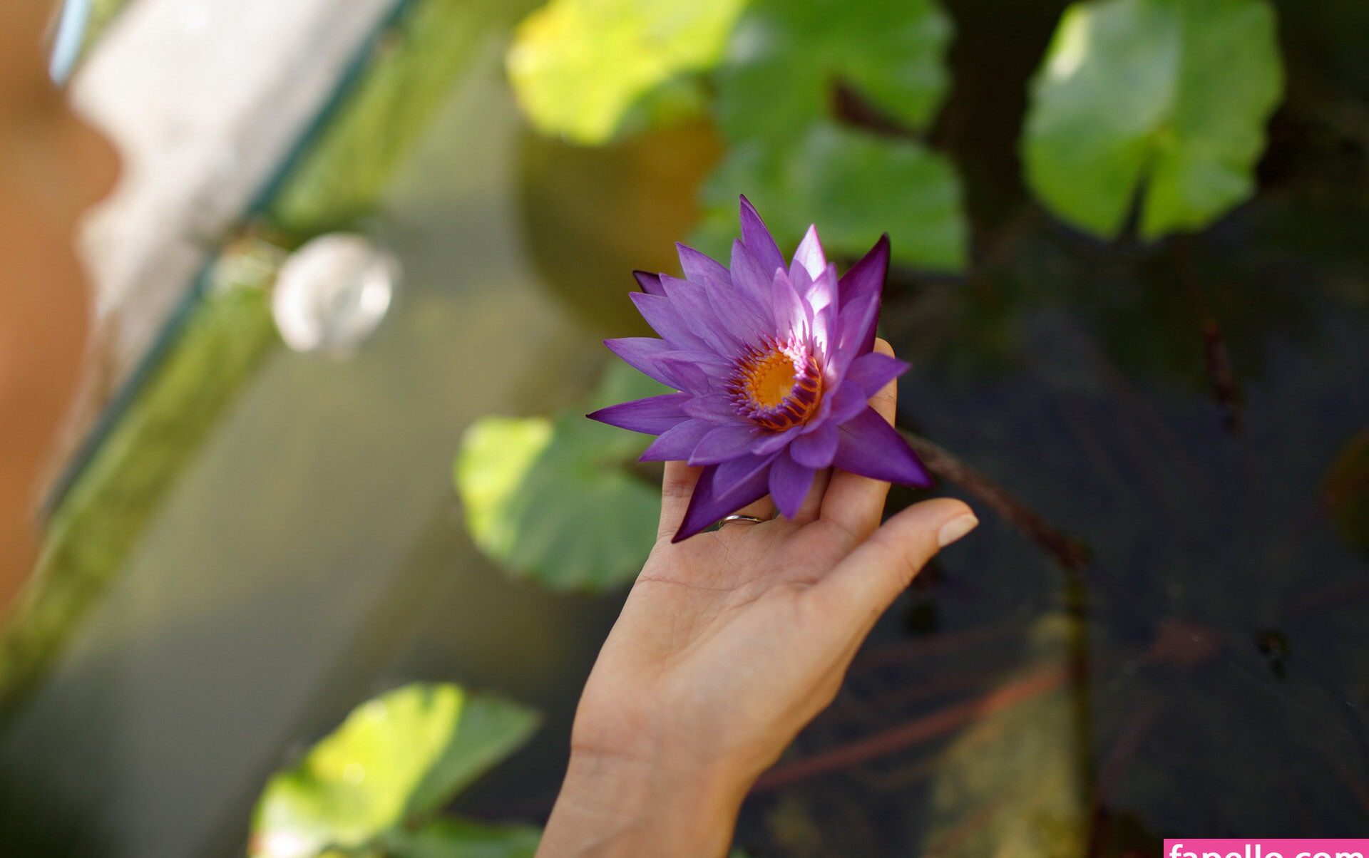 zishy gallery photo #5949