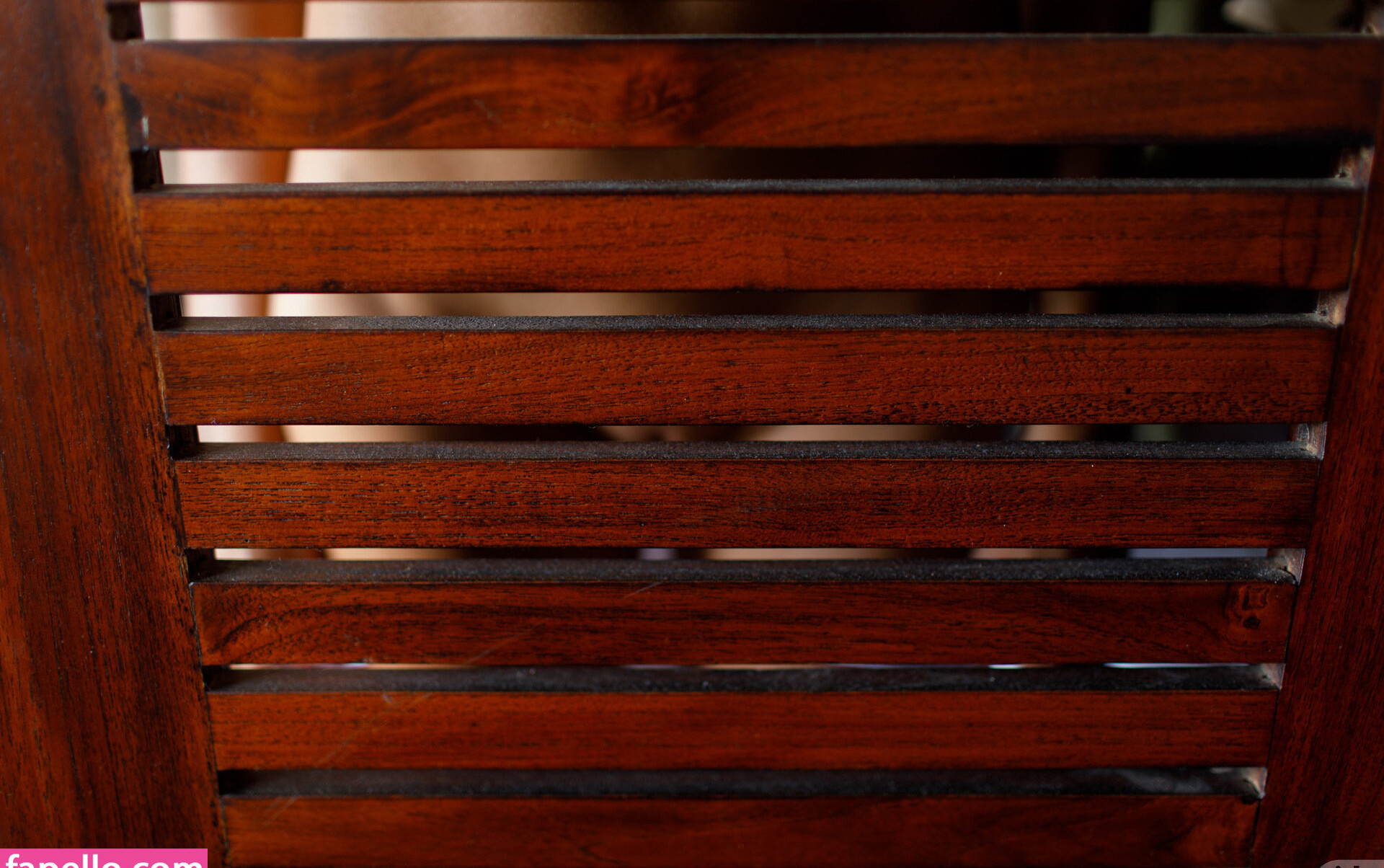 zishy gallery photo #5964