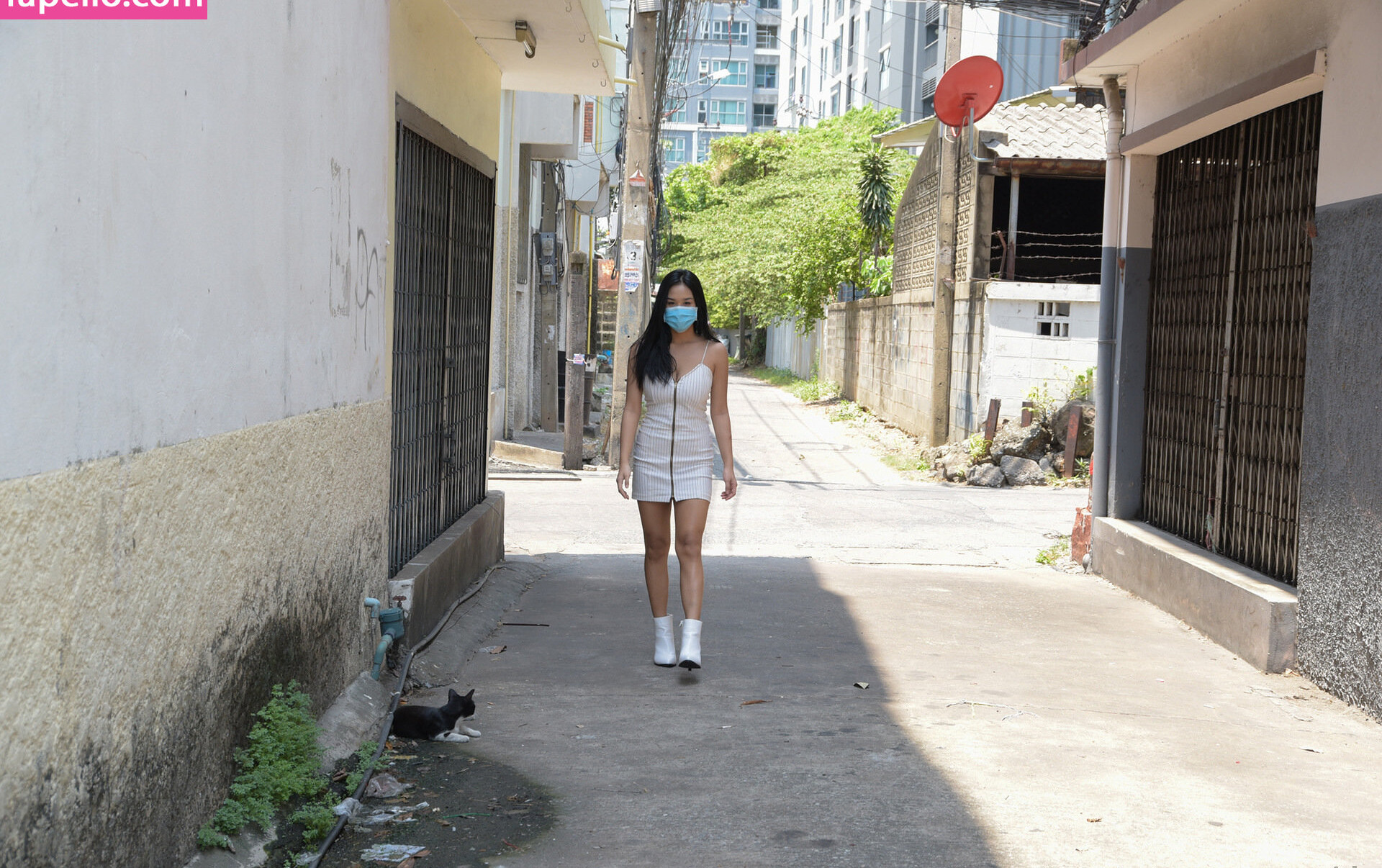 zishy gallery photo #6005