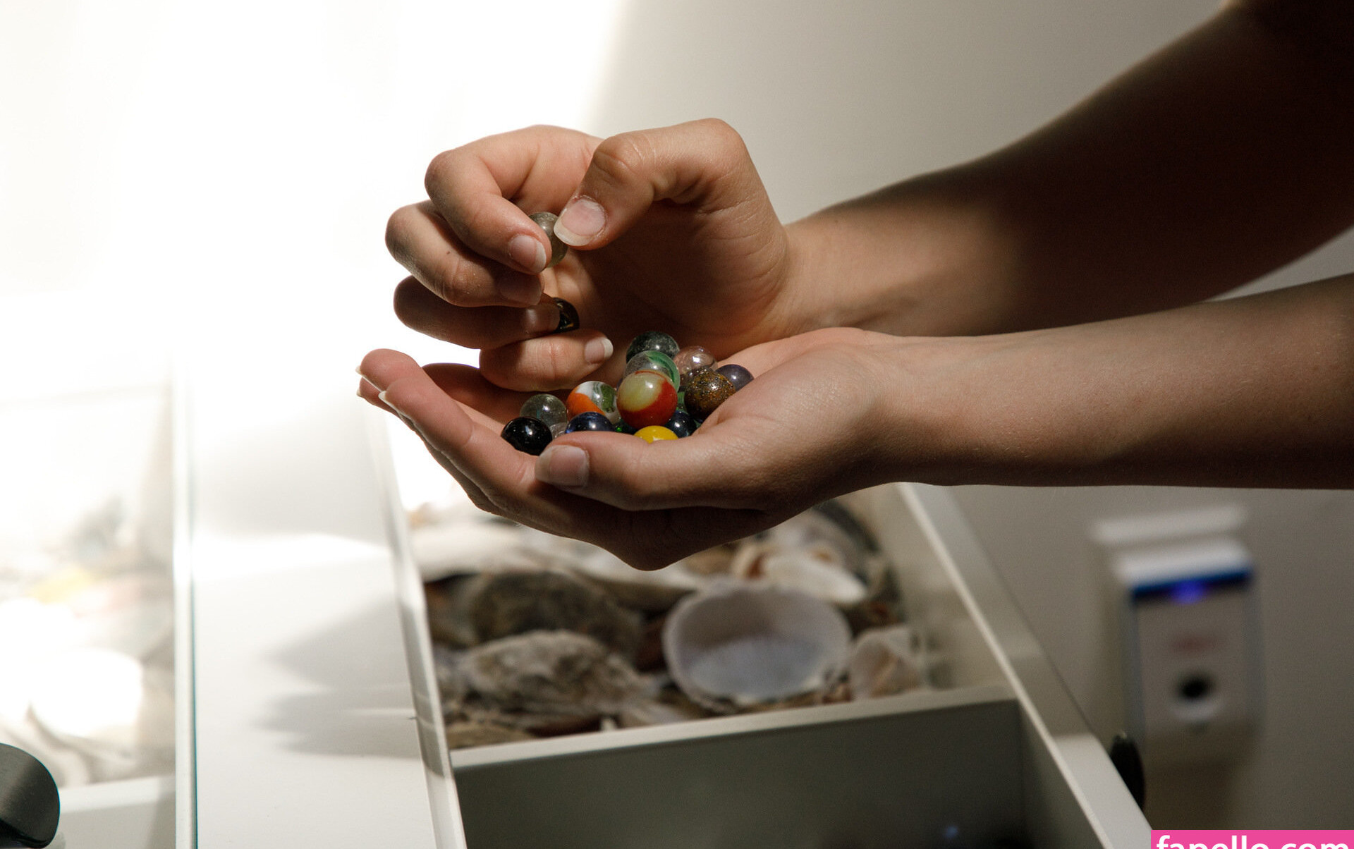 zishy gallery photo #6193