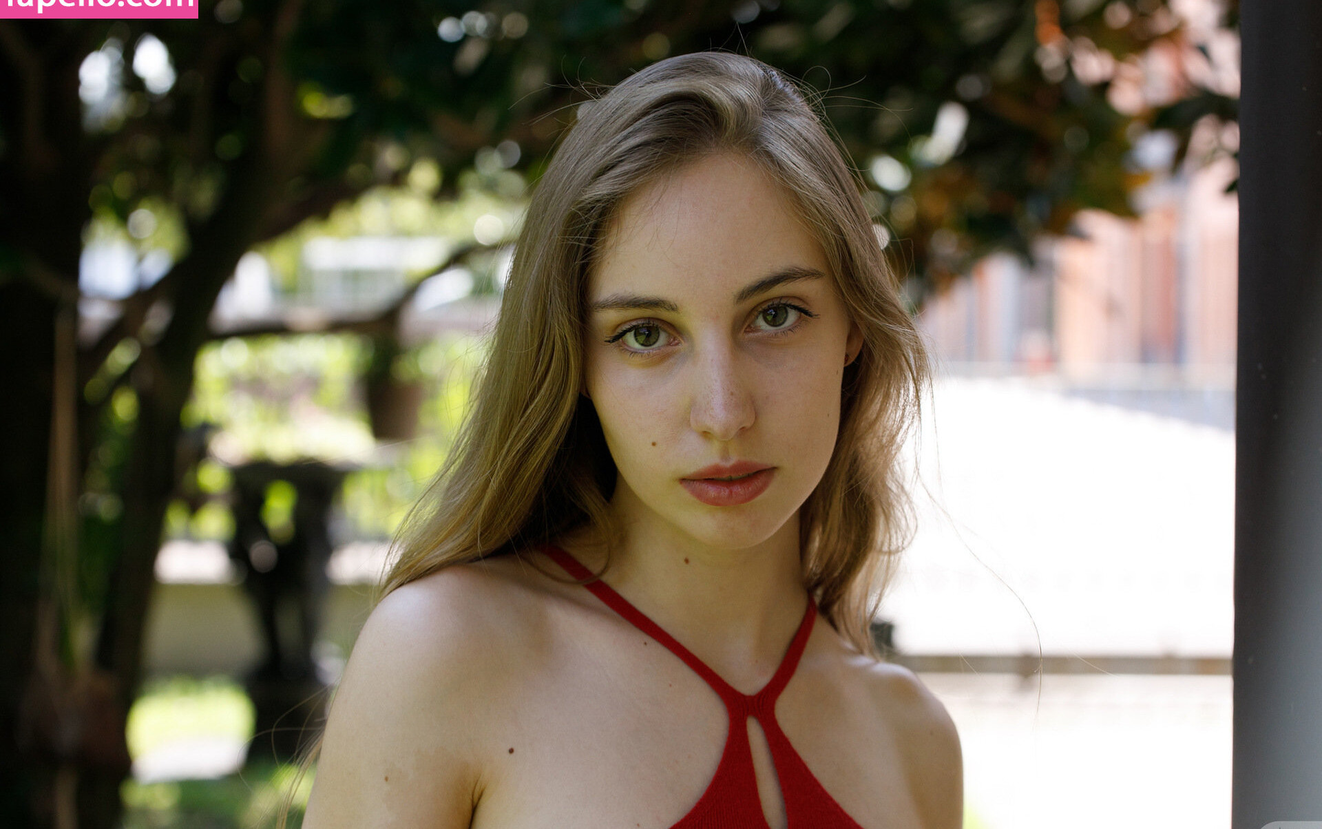 zishy gallery photo #6872