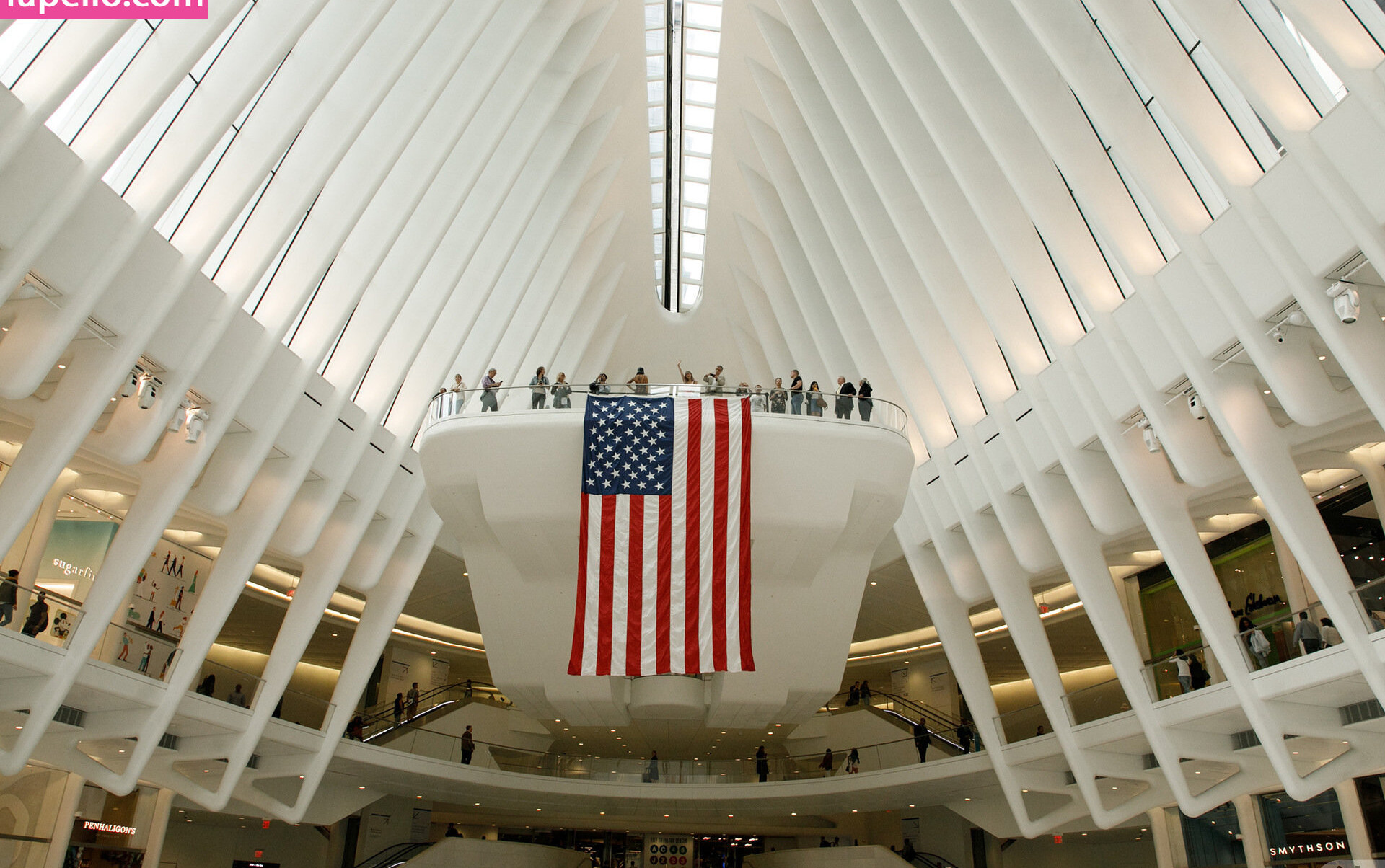 zishy gallery photo #7446