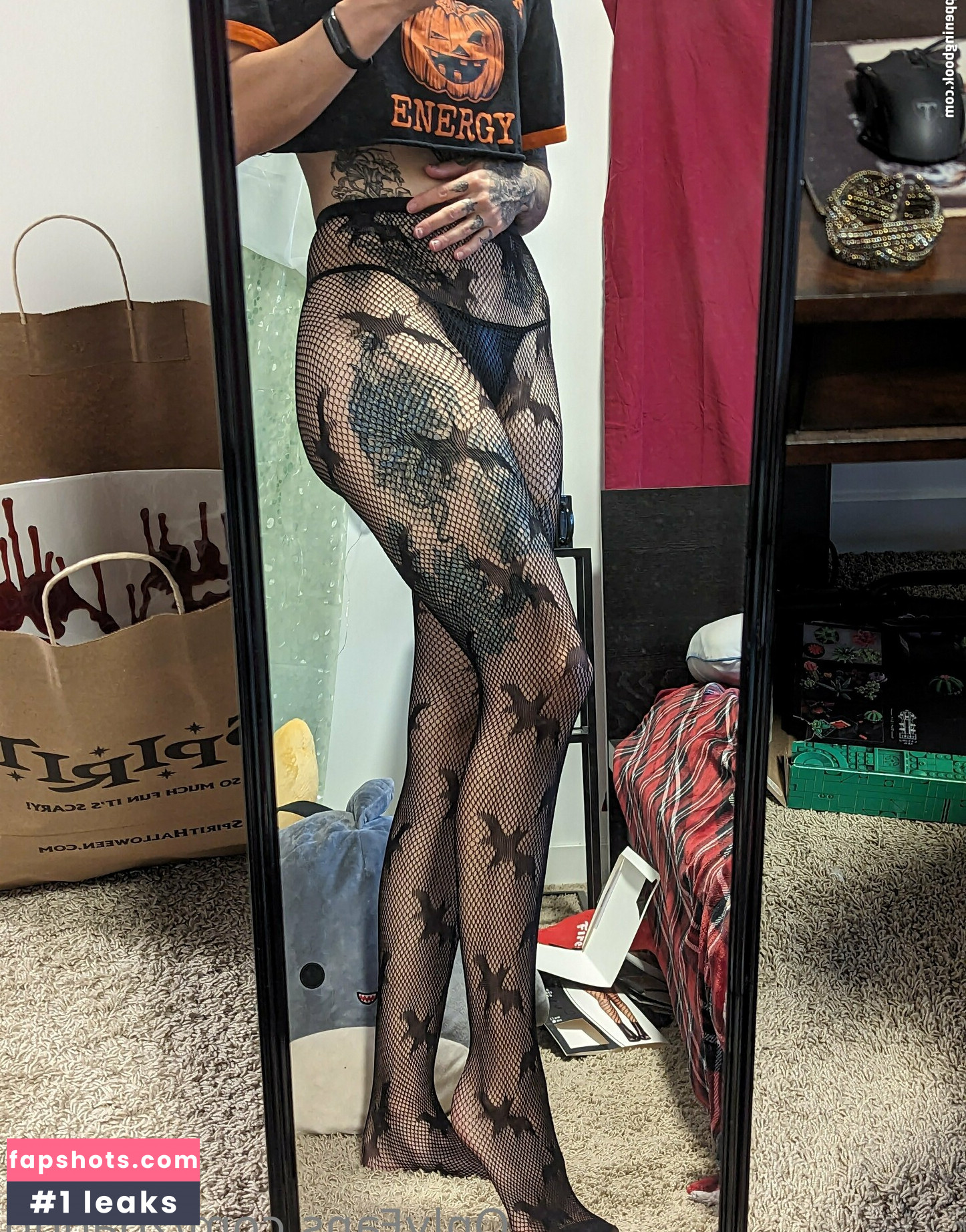 zoadgo gallery photo #13