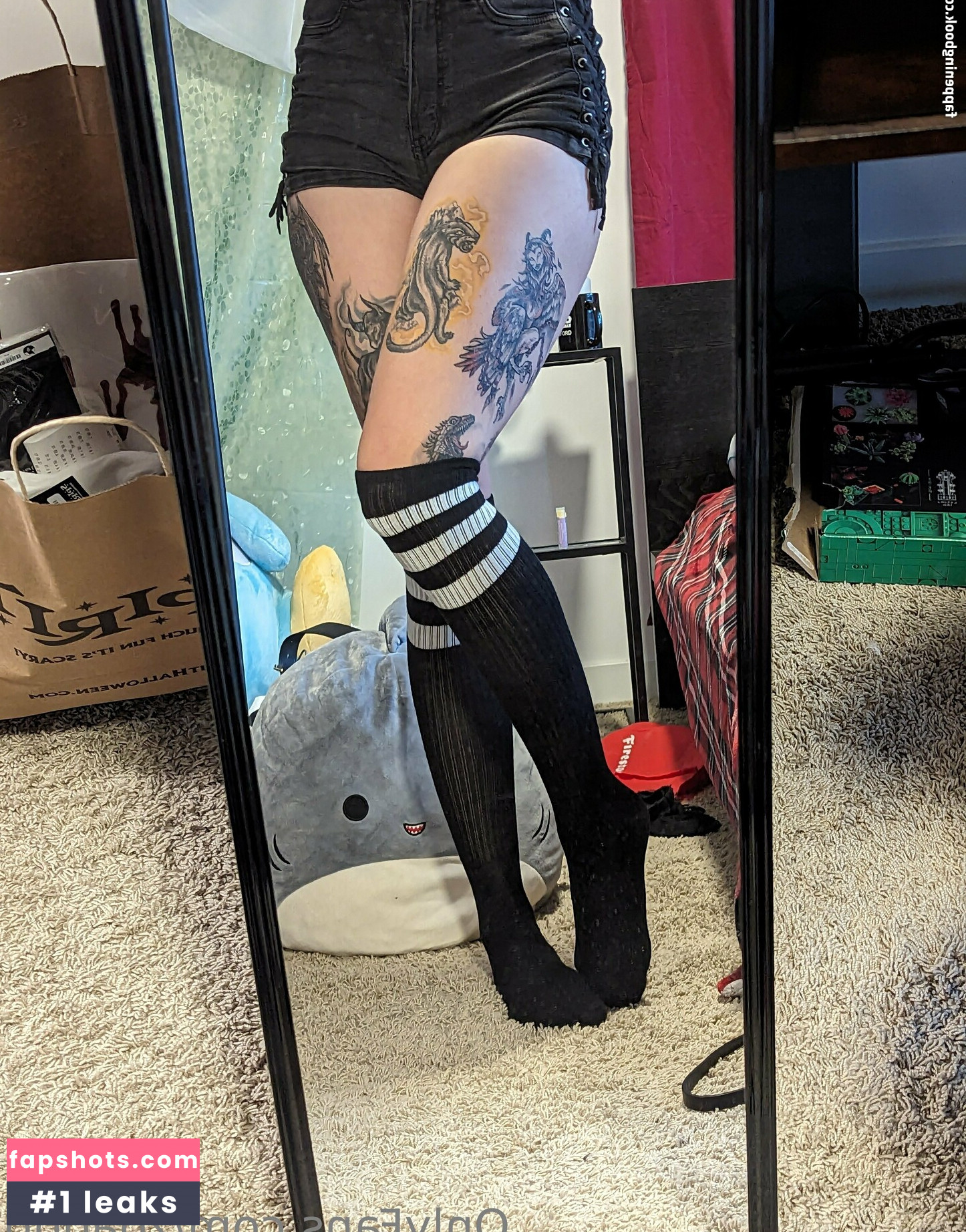 zoadgo gallery photo #18