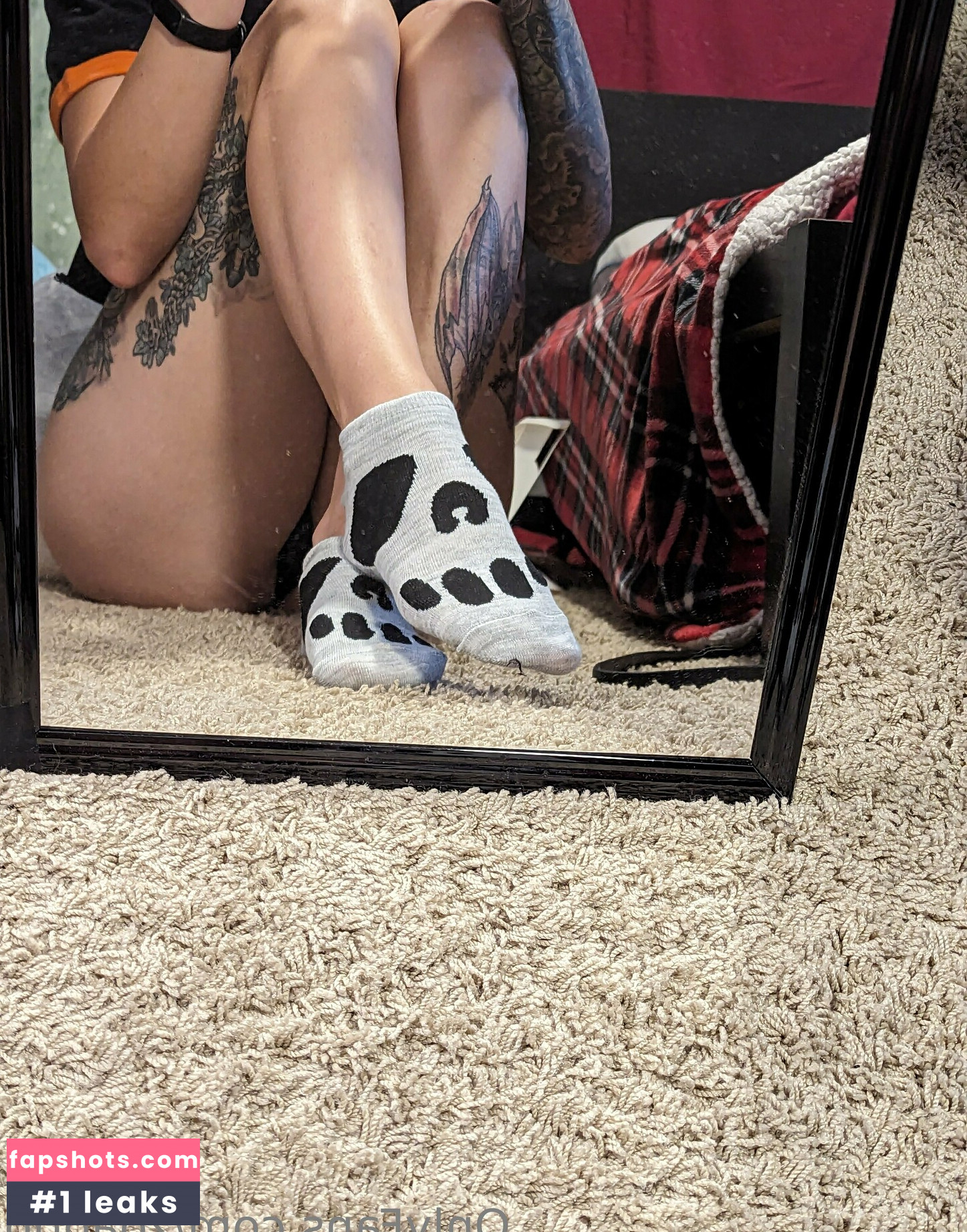 zoadgo gallery photo #21