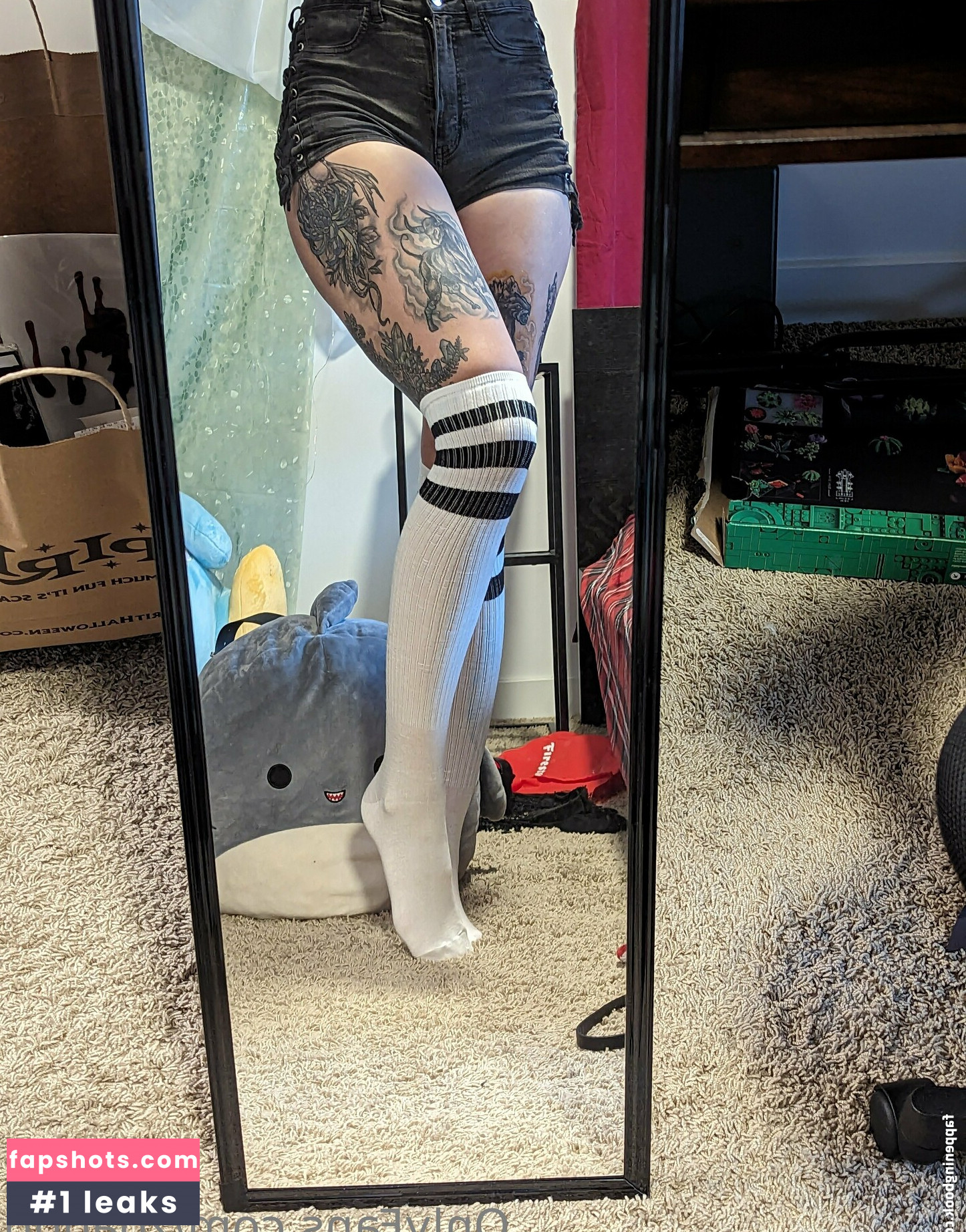 zoadgo gallery photo #22