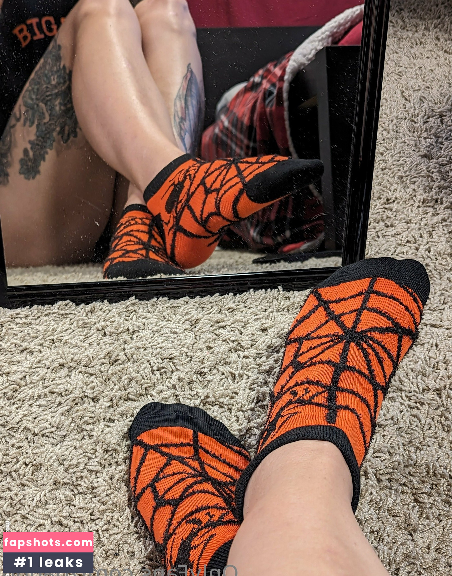 zoadgo gallery photo #23