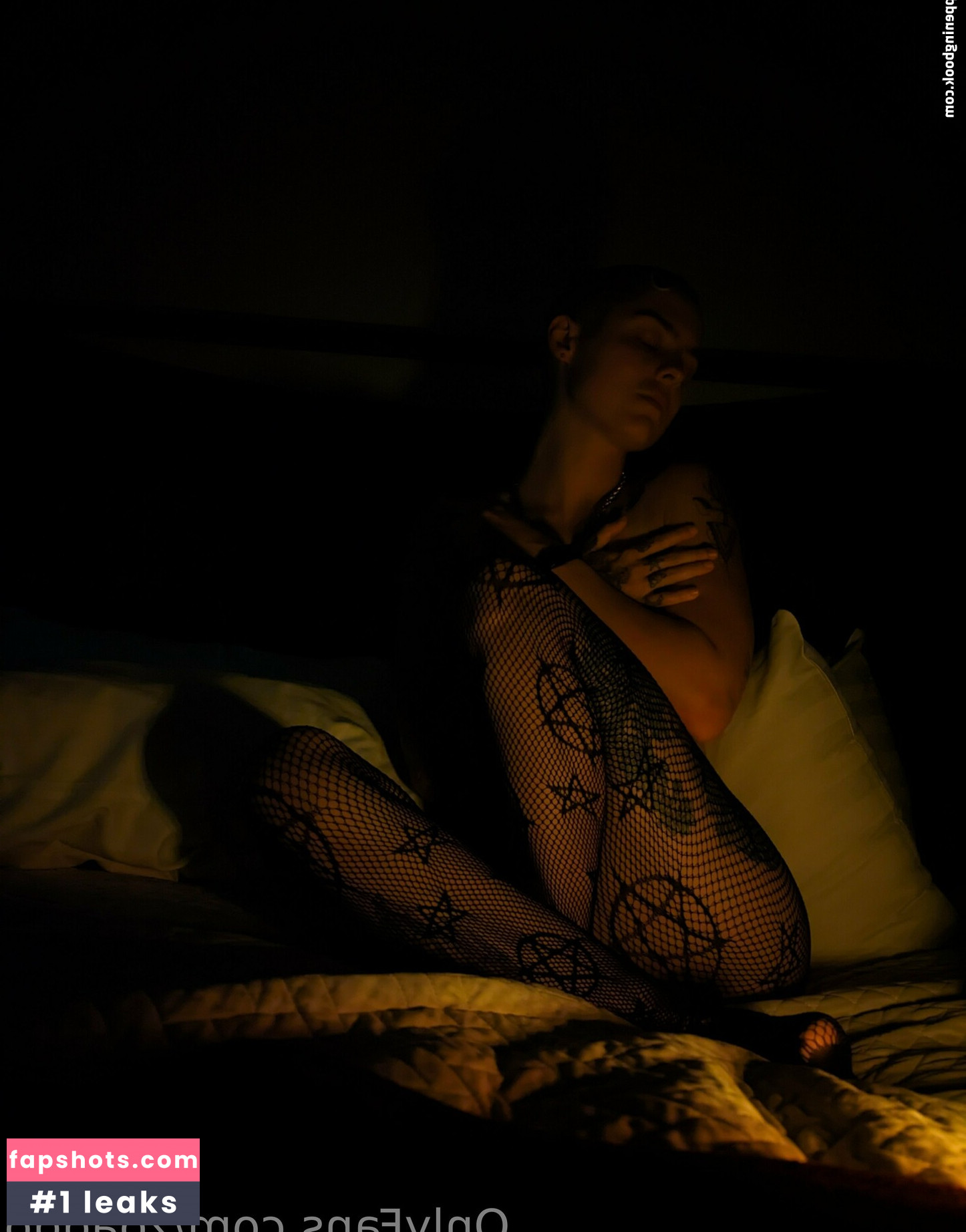 zoadgo gallery photo #38