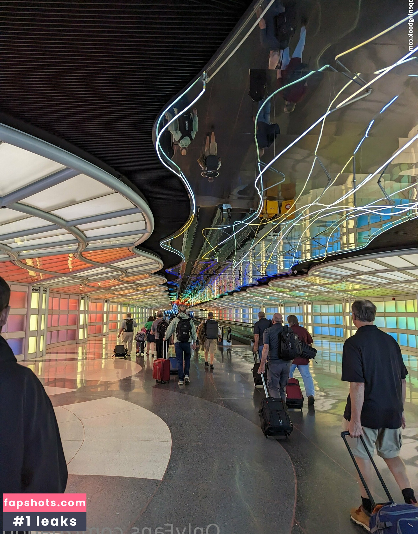 zoadgo gallery photo #49