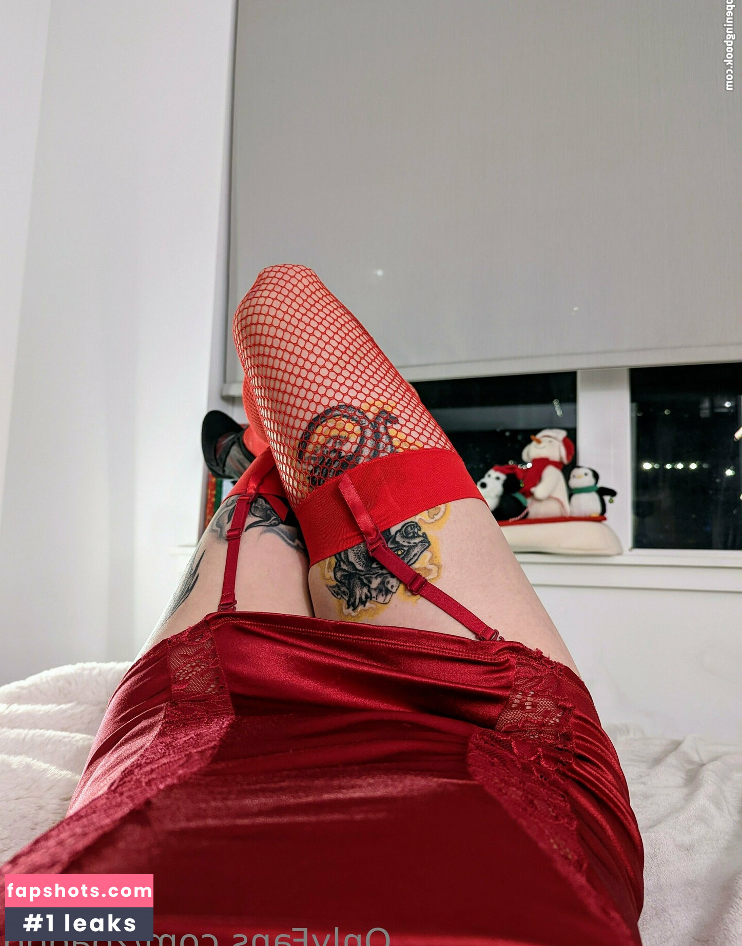 zoadgo gallery photo #67