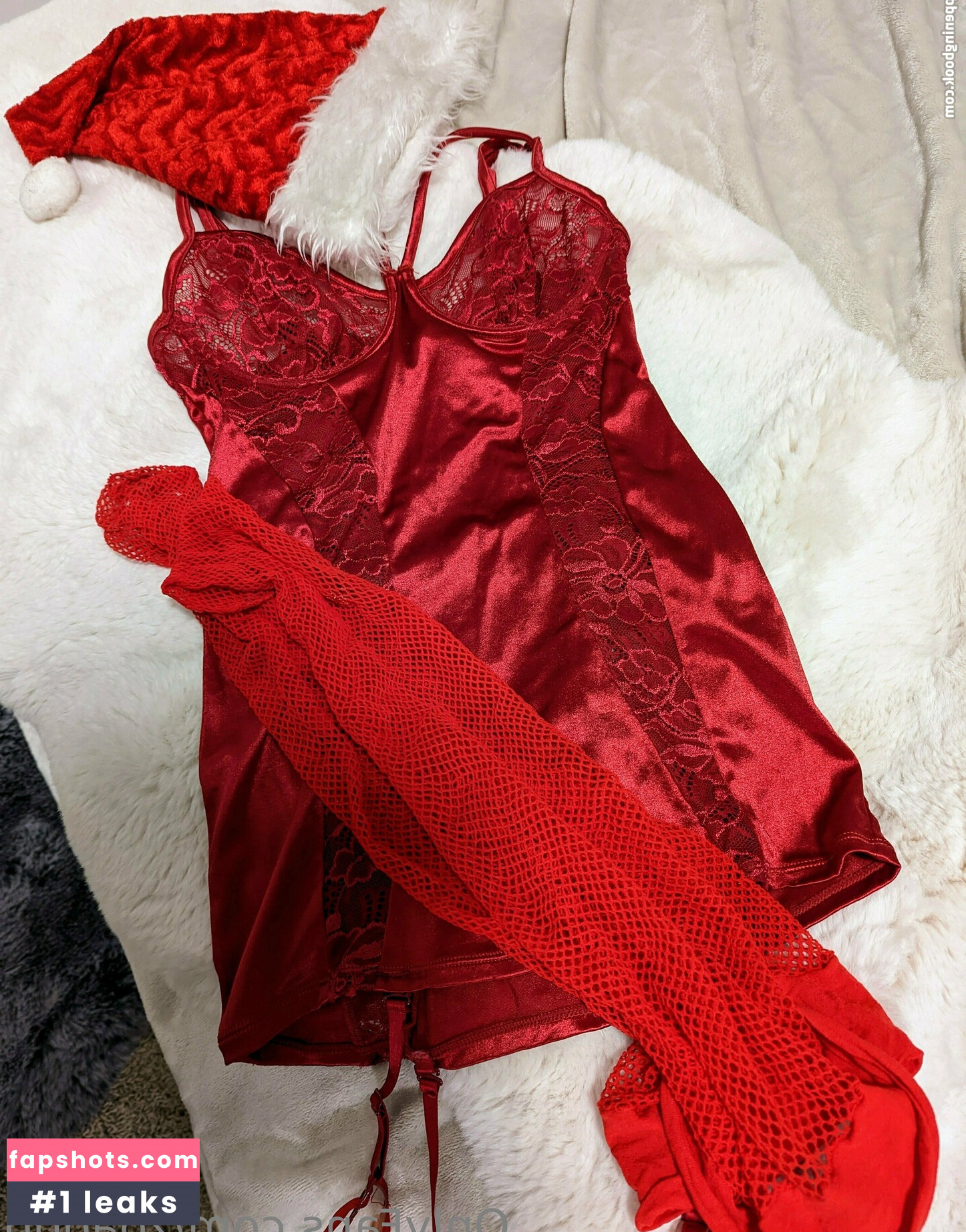 zoadgo gallery photo #74