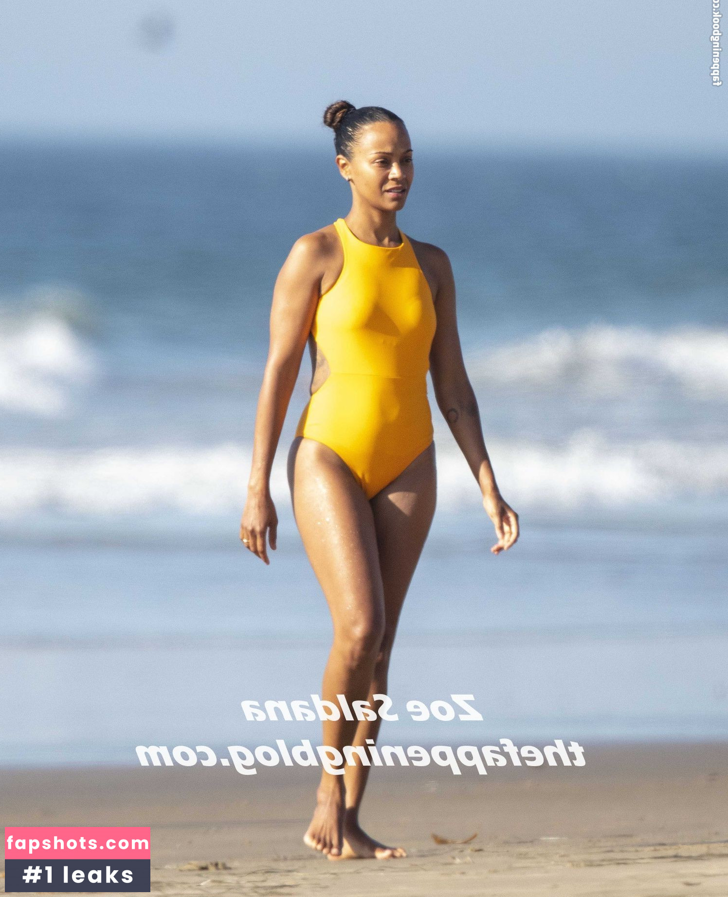 Zoe Saldana gallery photo #284