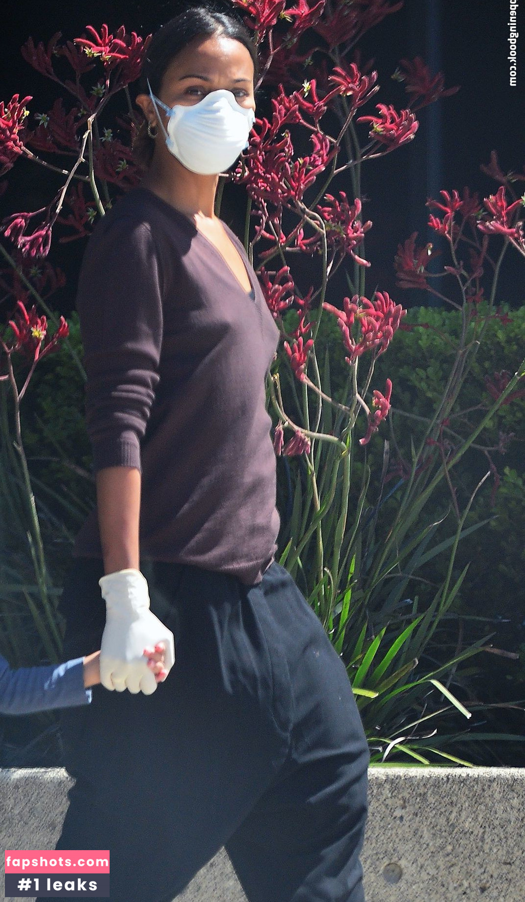 Zoe Saldana gallery photo #293