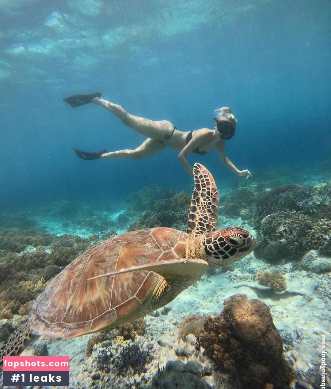 zoejoana Nude Leaks OnlyFans Photos #4 - LeakJerk