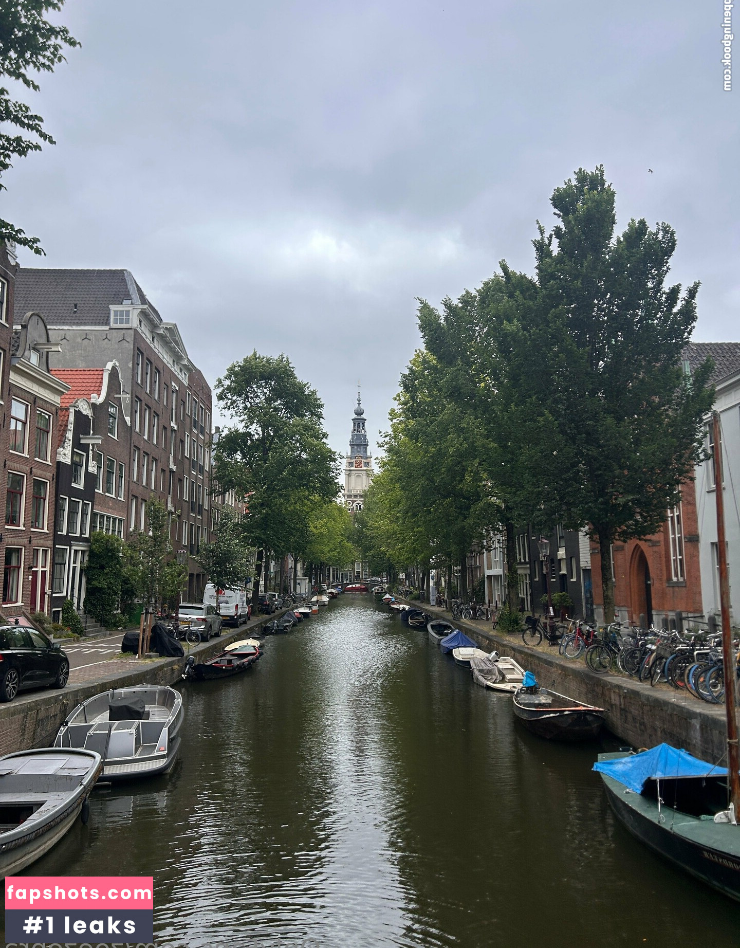 zoezebra gallery photo #5