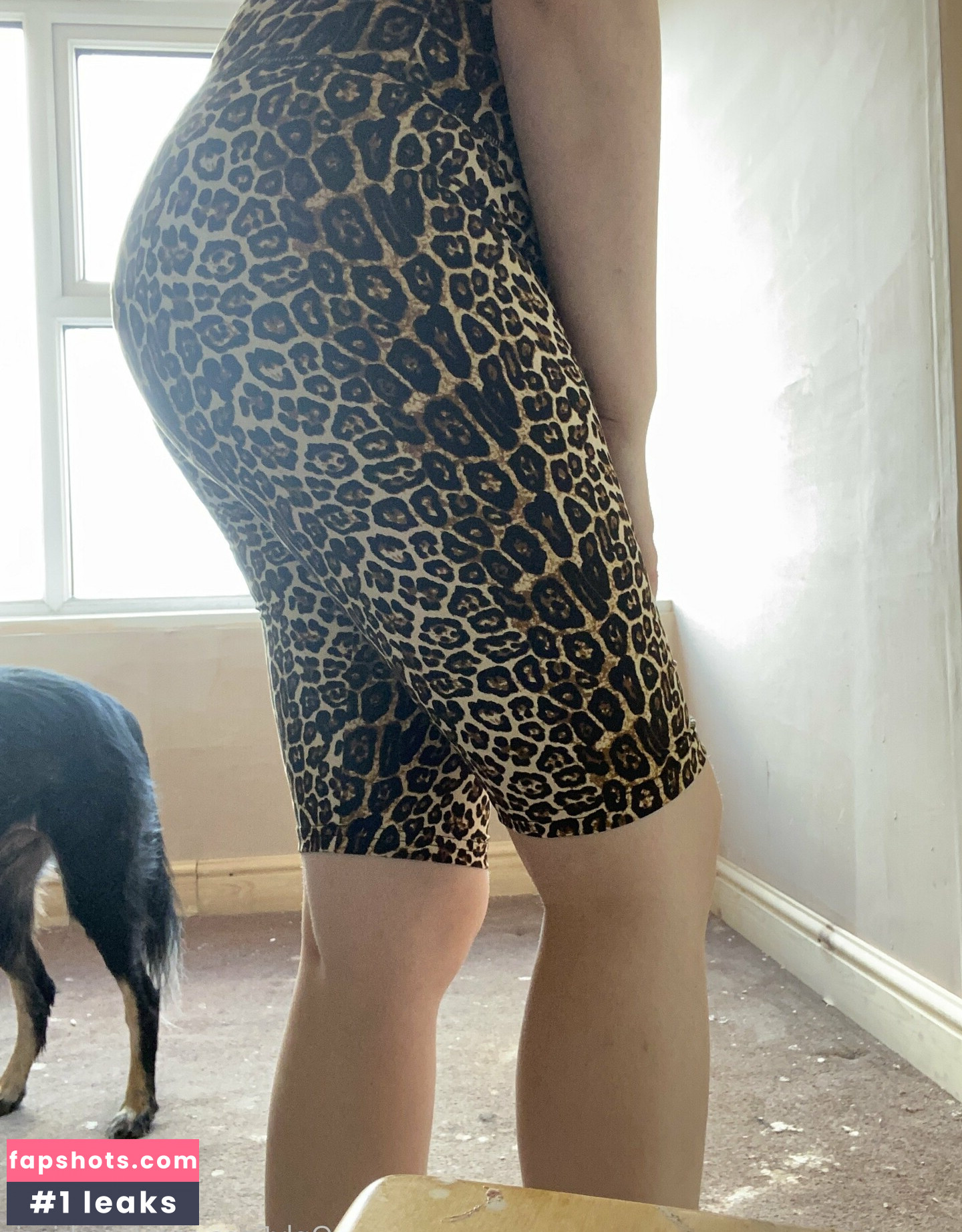 zombieciz gallery photo #5