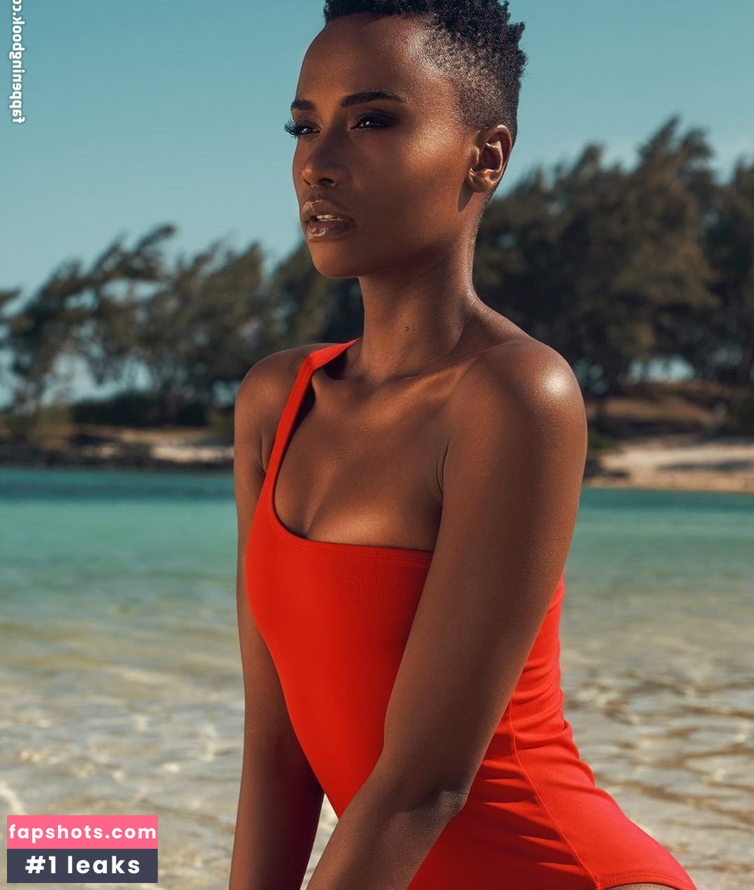 Zozibini Tunzi gallery photo #58