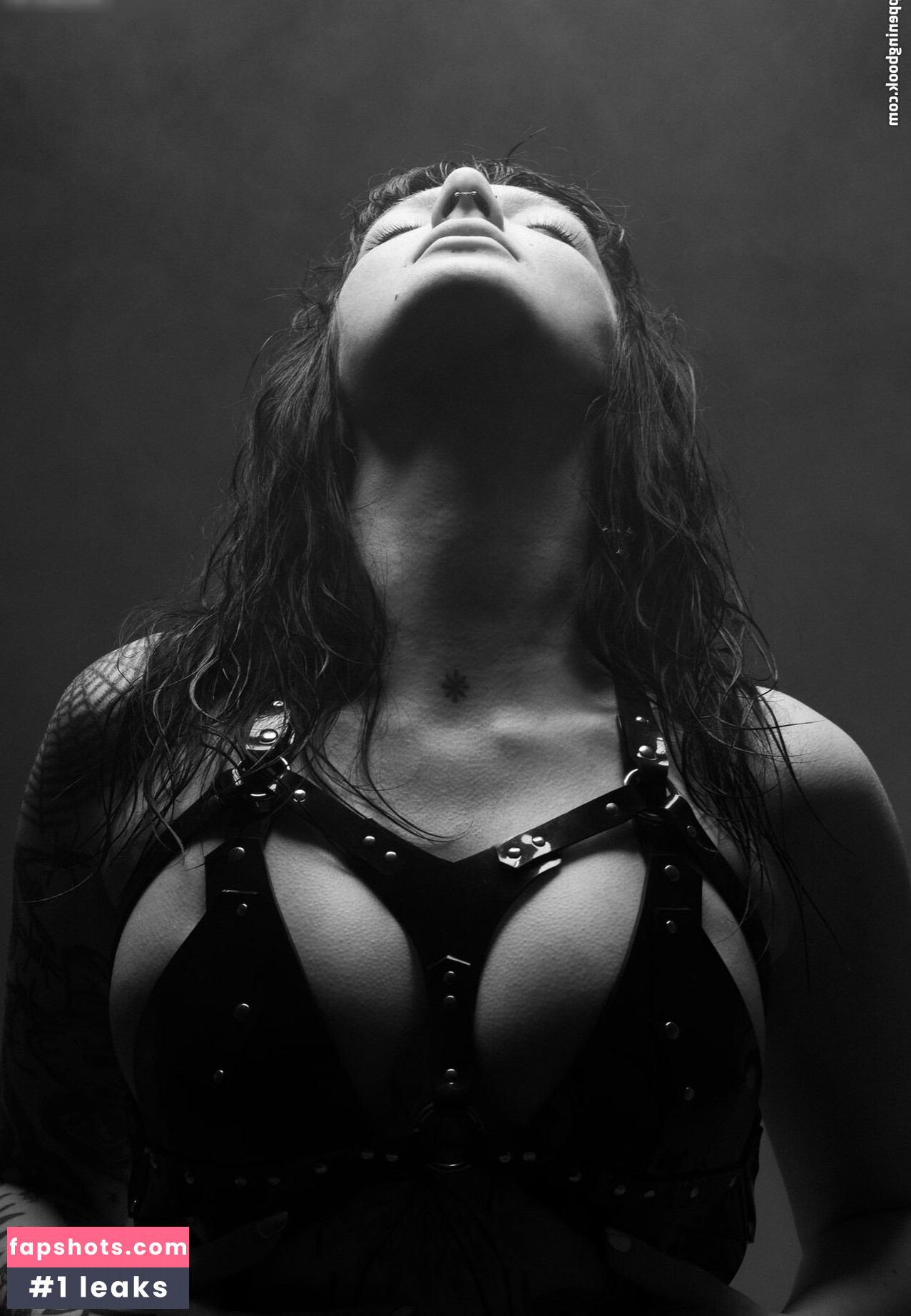 Zzef gallery photo #31